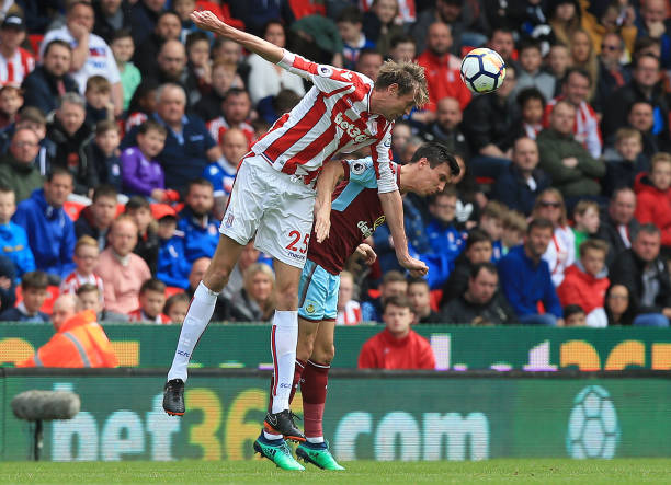 施奠定了基 施奠定了基