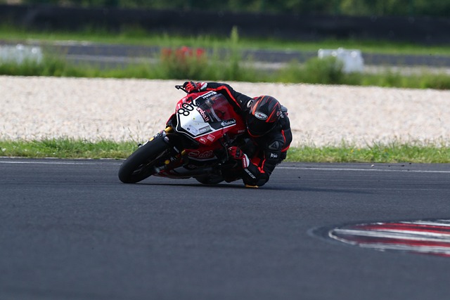 的正式比賽 的正式比賽